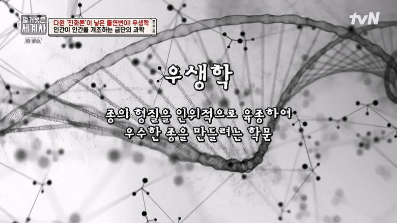 Still image for Seol Min-seok's Naked World History season 1 episode 97: Episode 97