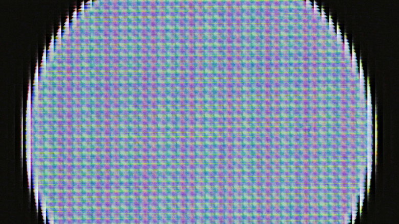 Imatge de Devil's Club