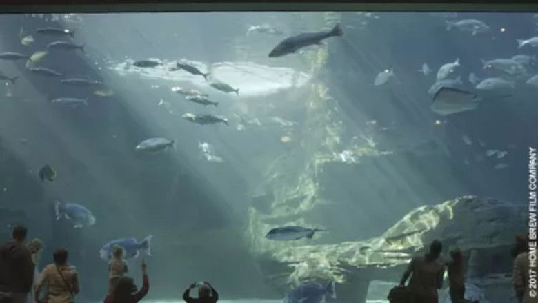 Still image for L'aquarium du bout du monde season 1 episode 2: Episode 2