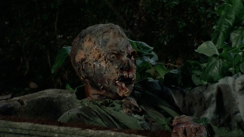 Die Rückkehr der Zombies (1981)