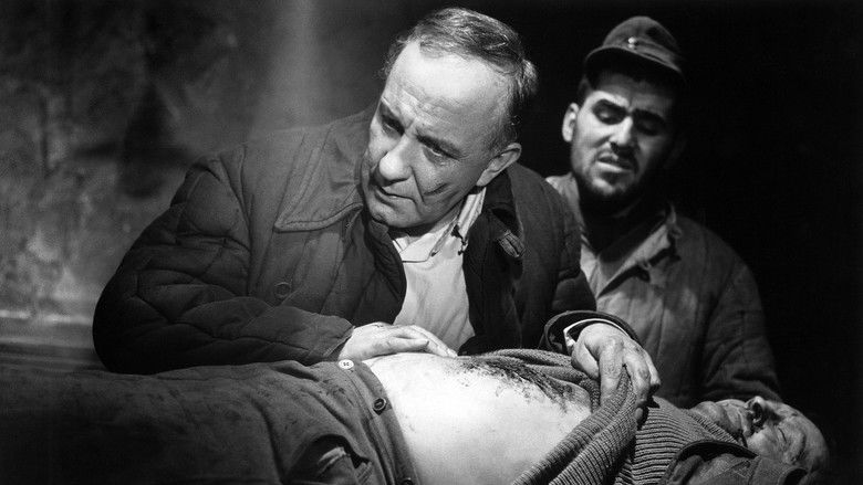 Image d'arrière-plan 3 du film Le médecin de Stalingrad