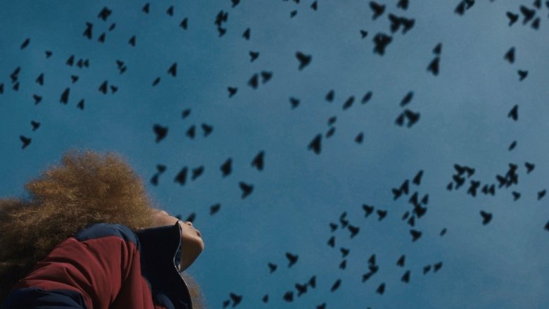 Broken Bird movie poster