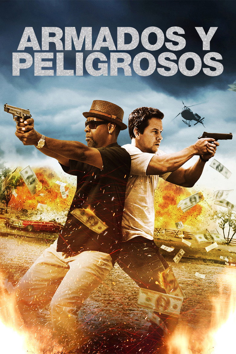Póster la Película