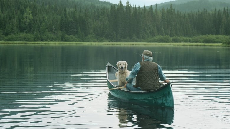 Il pleuvait des oiseaux (2019)