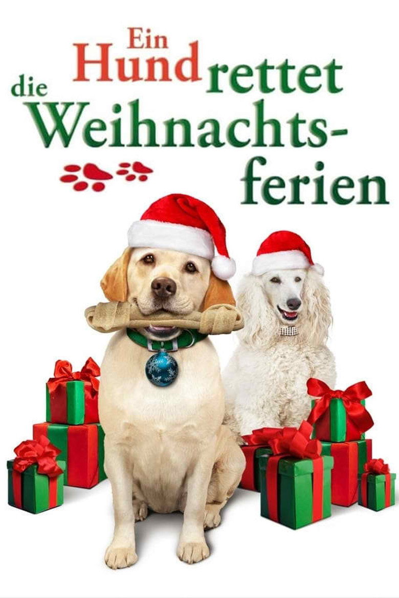 Ein Hund rettet die Weihnachtsferien