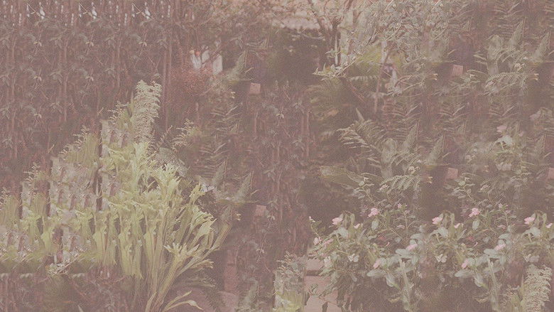 Gallery image from yy2xG1mEJVxkVE075UMJ1ei8lzo.jpg