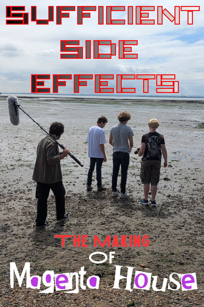 Imatge de SUFFICIENT SIDE EFFECTS The Making Of Magenta House