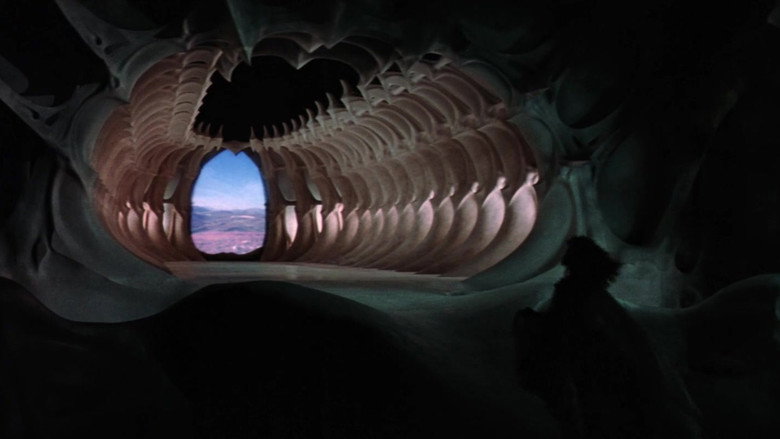 Film backdrop