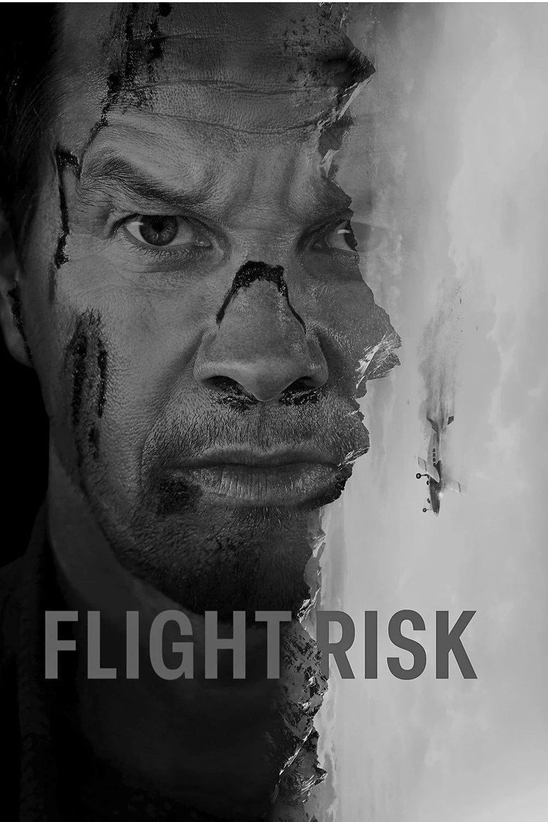 Póster la Película