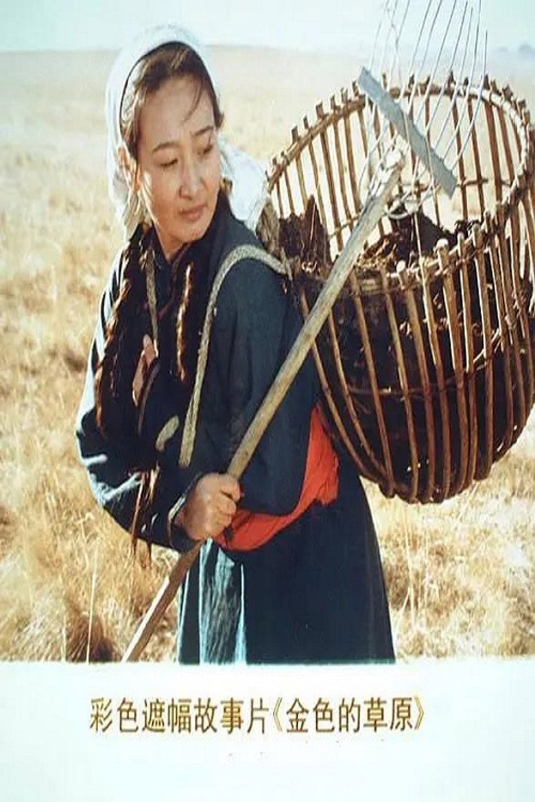 金色的草原