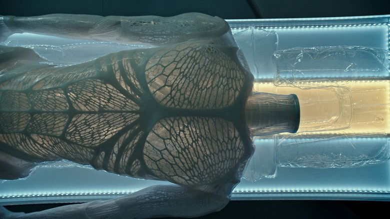 Gallery image from z0Dmz4XbU7eg84dSkU7KvZ3qLh7.jpg