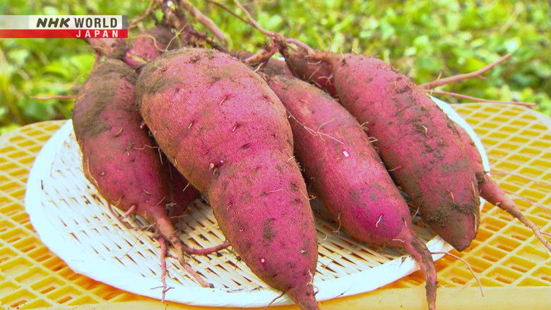 Sweet Potatoes