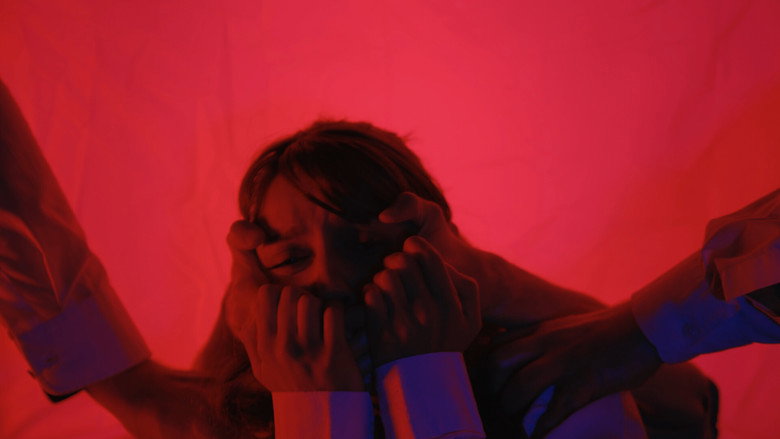 Imatge de Was in mir schreit