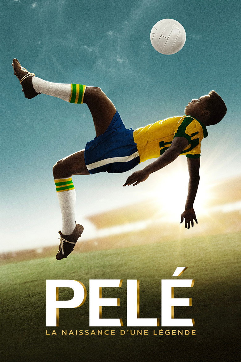 Póster la Película