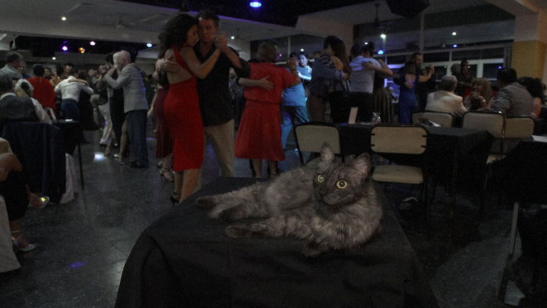 Still image for Mitsuaki Iwago's World “Cats” Travelogue season 1 episode 138: Argentina Still image for Mitsuaki Iwago's World “Cats” Travelogue season 1 episode 138: Argentina