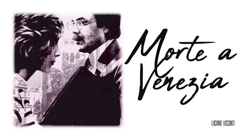 Z26rkfkc1zxnxwgmwivpilpehbi