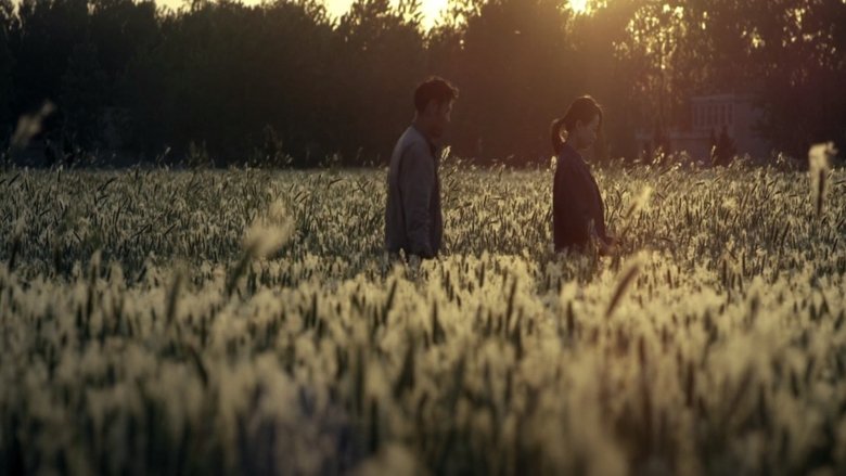 The Wheat backdrop