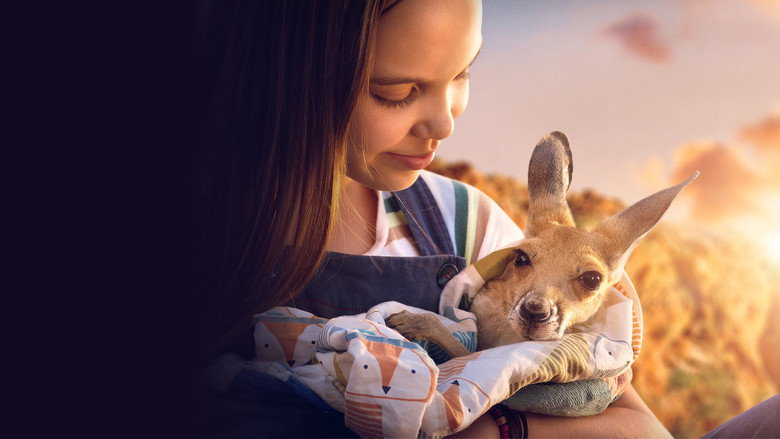 Kangaroo