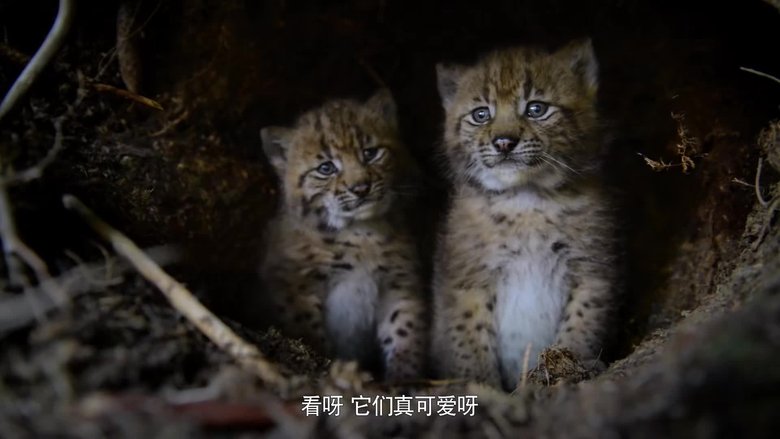 Gallery image from z31HdGfpGTNcpoJLvVoGZlFQub9.jpg