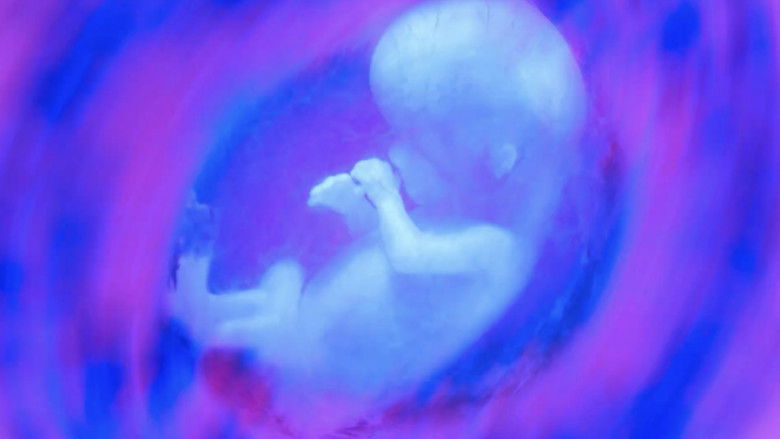 Imatge de Purgatory for Epiphanea