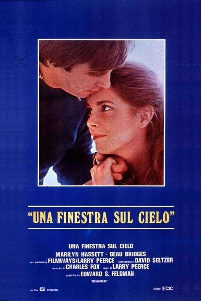 Copertina di Una finestra sul cielo