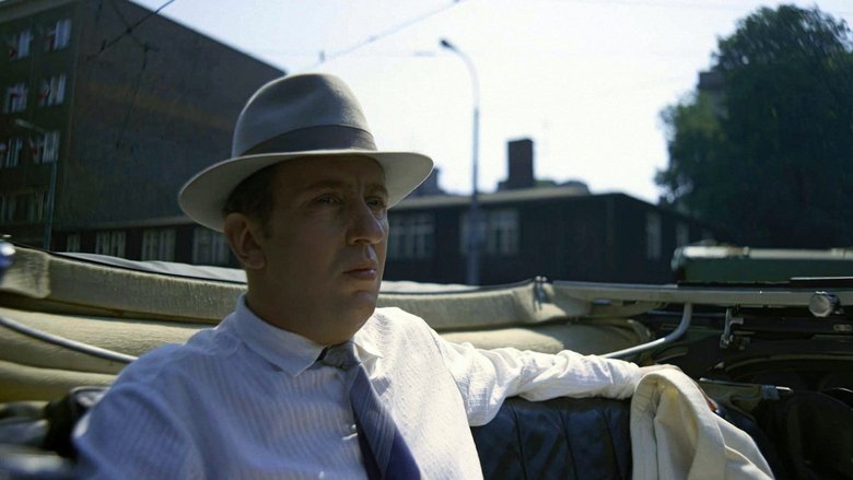 Gallery image from z3cCcOxzRa7iUXkTq6btEg0cRrC.jpg