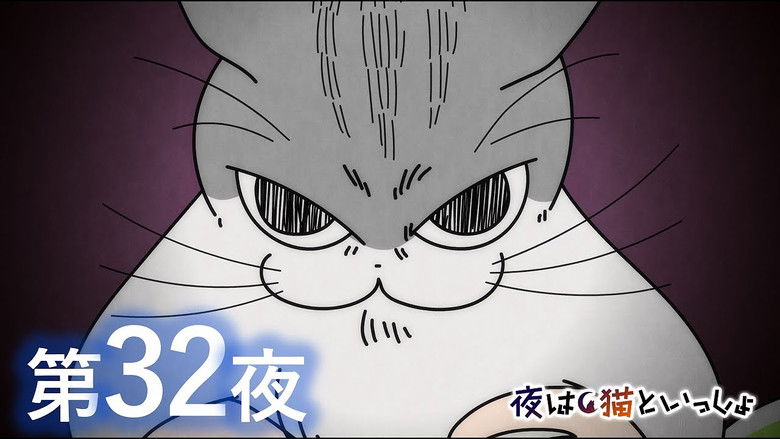 Still image for Nights with a Cat season 1 episode 32: Night 32: Maximum Pupils