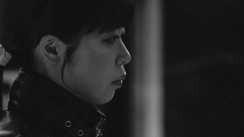 Oscillation — scene 3