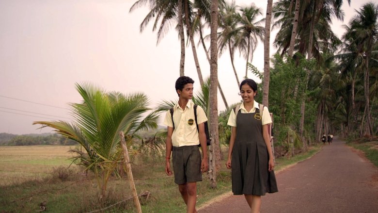 Gallery image from z4W4eMQLBdzAA4C1N5Jse5A1dEx.jpg