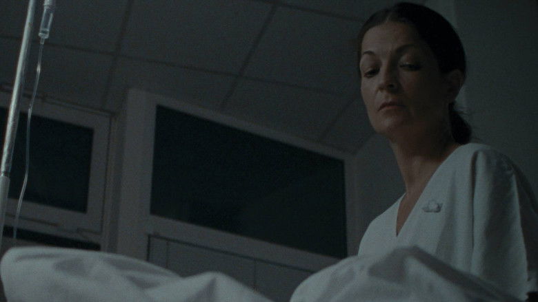 Gallery image from z4kb7fPNefYkvdHU6RyxkY6Nd0H.jpg