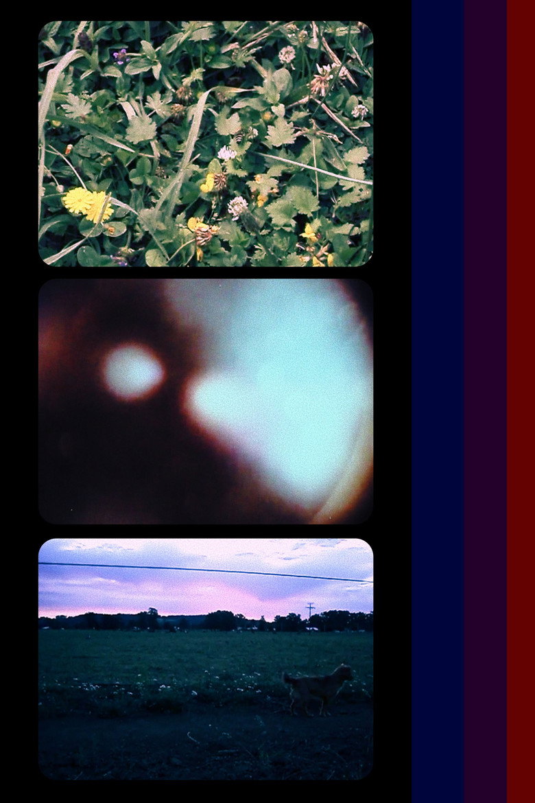 Imatge de Eco de la Memoria Perdida