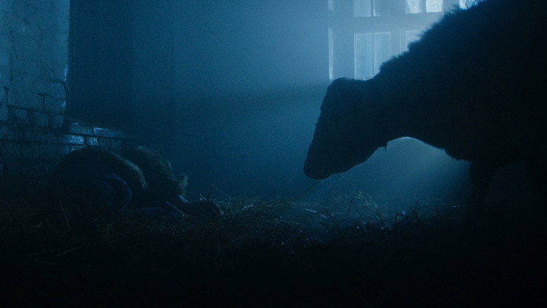 Imatge de Beef of Happiness