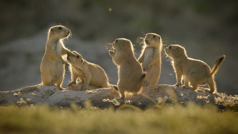 Still image for Wild Animals Babies season 1 episode 3: Outnumbered Still image for Wild Animals Babies season 1 episode 3: Outnumbered