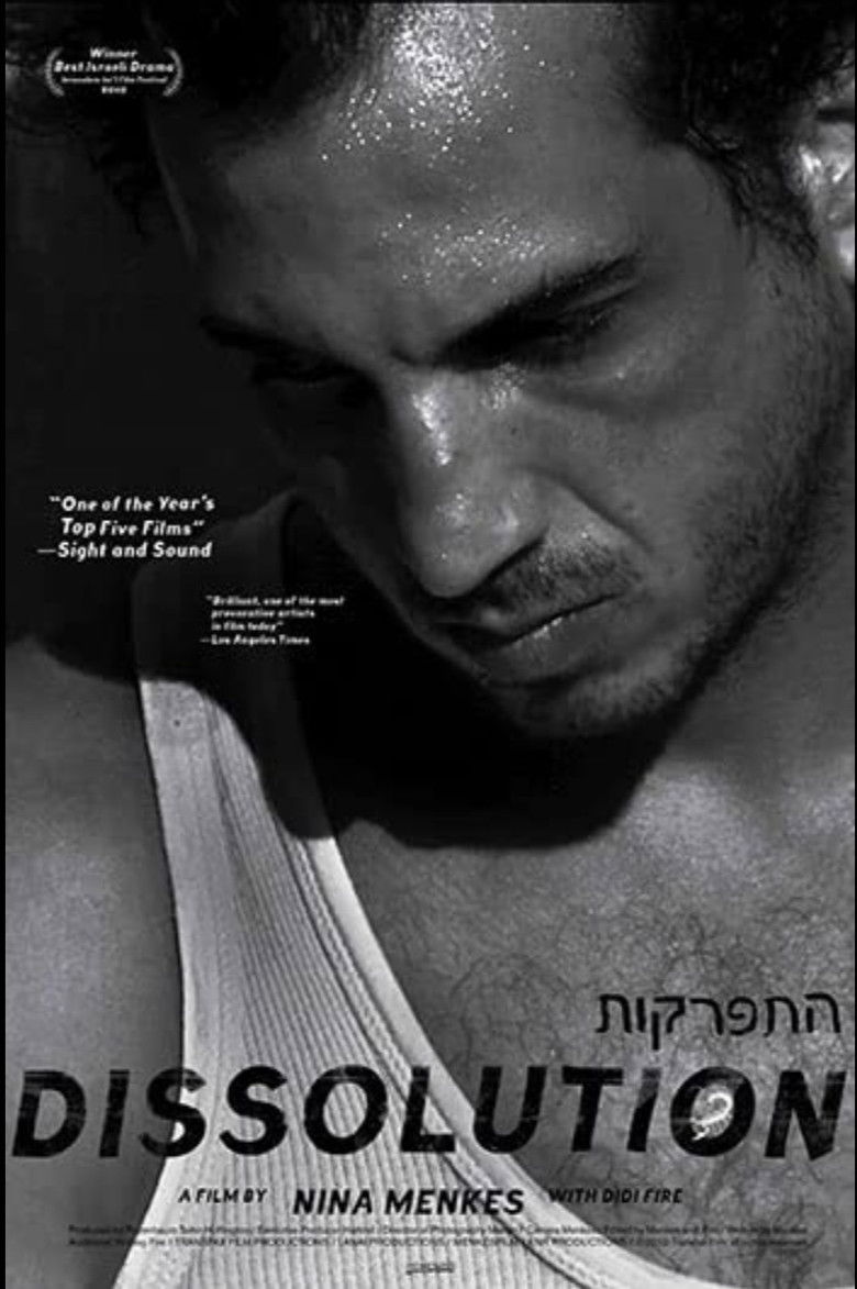 Imatge de Dissolution