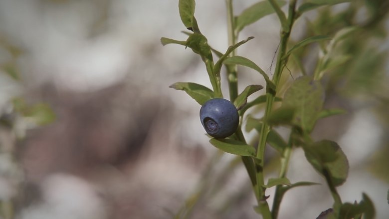 Gallery image from z67JRkBnVJlpANvw4WtlWE7Au0L.jpg