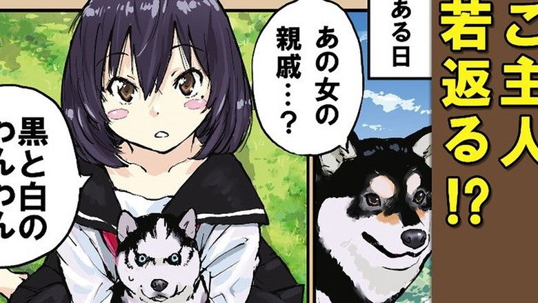 Still image for Doomsday with My Dog season 1 episode 60: Meeting a Dog for the First Time Still image for Doomsday with My Dog season 1 episode 60: Meeting a Dog for the First Time