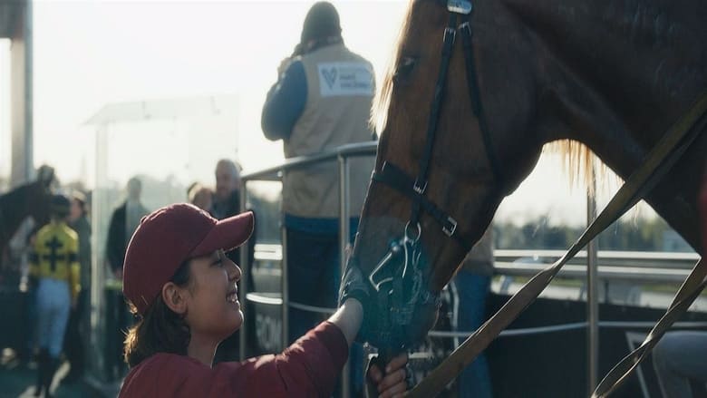 Tempête streaming – Cinemay