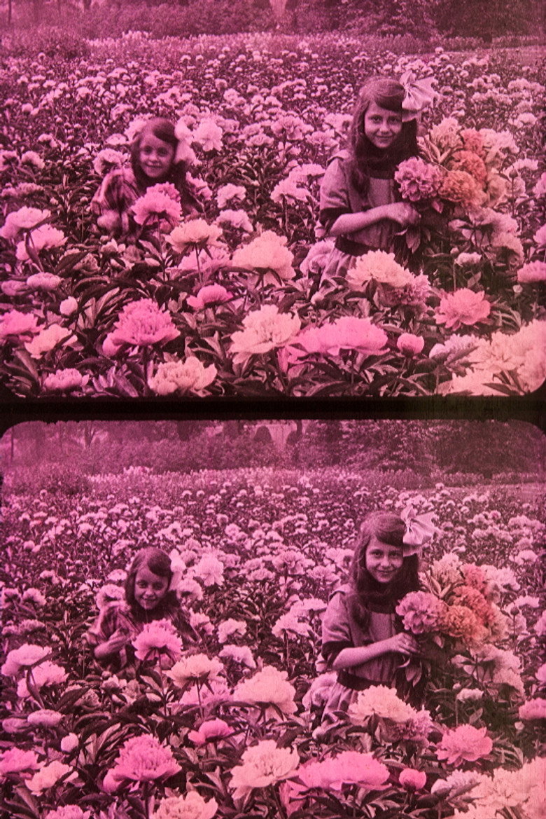 Flowery Spring poster