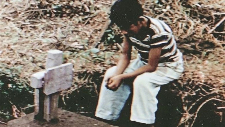 Gallery image from z7m4wD6wgoxgRnracmlDIuPO0VD.jpg