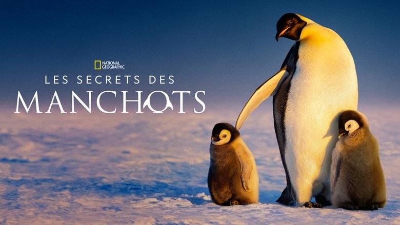 Gallery image from z7zQ5my1ugXIRG7KTKSJfP2JpPb.jpg