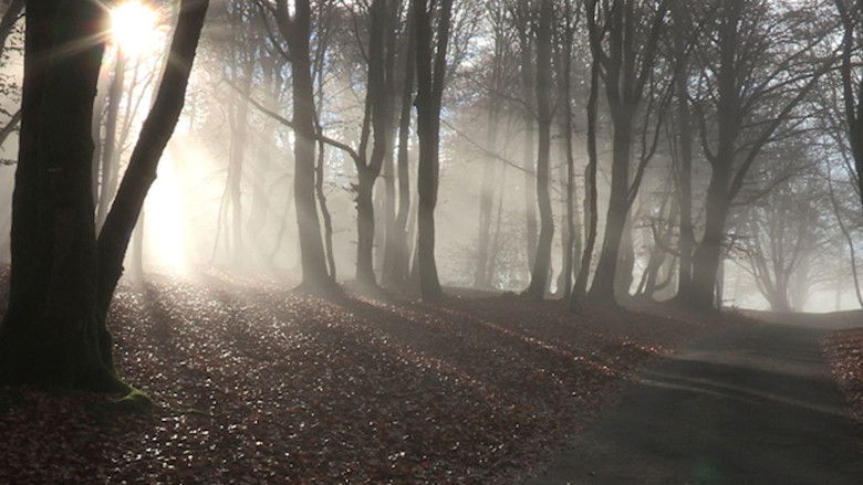 Still image for Sur nos traces season 1 episode 7: Episode 7