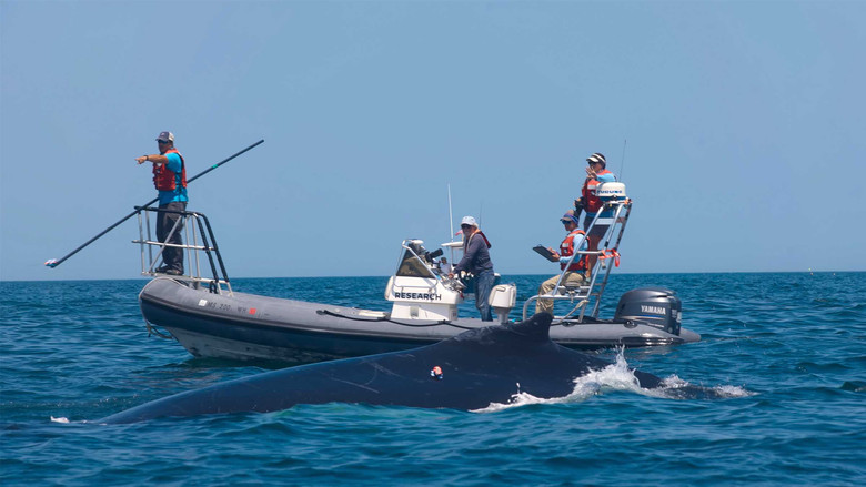 Still image for The Future of Nature season 1 episode 1: Oceans Still image for The Future of Nature season 1 episode 1: Oceans