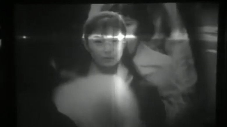 Image d'arrière-plan 11 du film 警告！のぞきアリ。