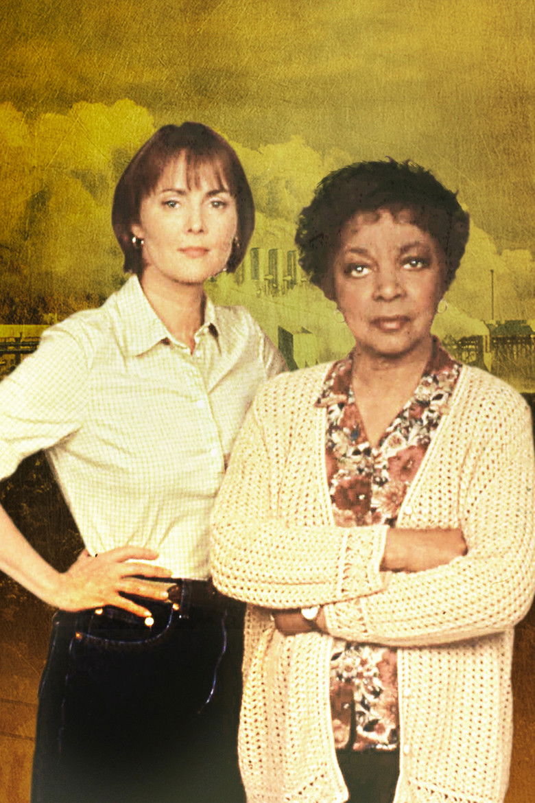 Imatge de Taking Back Our Town