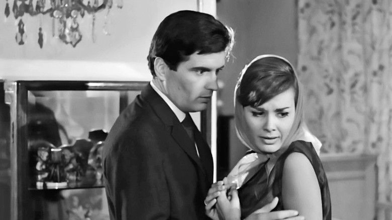 Gallery image from z9RCZ5Y8CC5EYOnlNyZX1DRBjz8.jpg