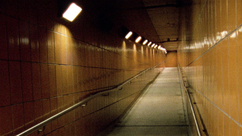 Gallery image from z9SEV1Z7hgGgPrI5vcCMF8wIVJB.jpg