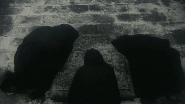 Sunt lacrimae rerum main backdrop