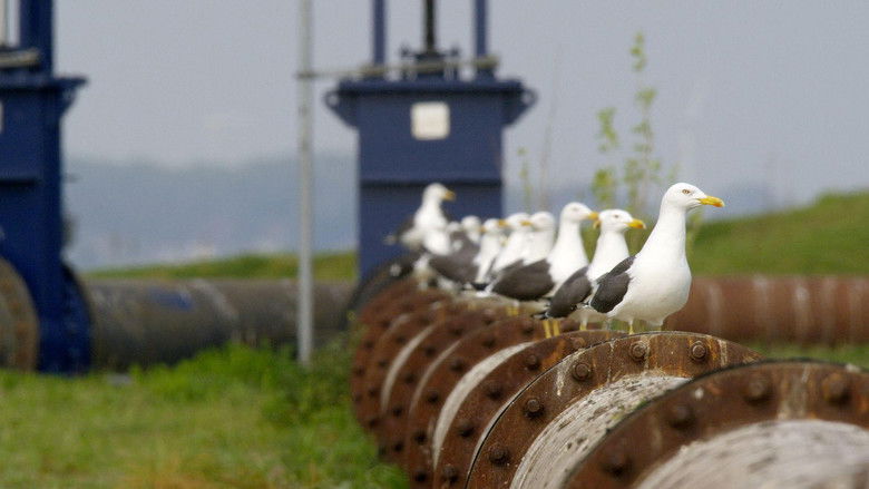 Imatge de Wild Port of Europe