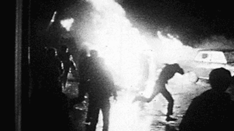 Gallery image from zBK8D8mwv3frKqPy82Ot0RsjXfb.jpg