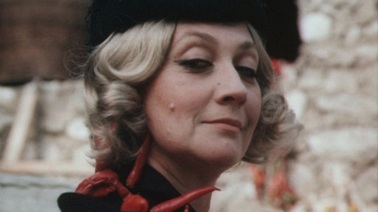 Gallery image from zBNPOYDz5lSyrAhTtl7JAxtcOL0.jpg